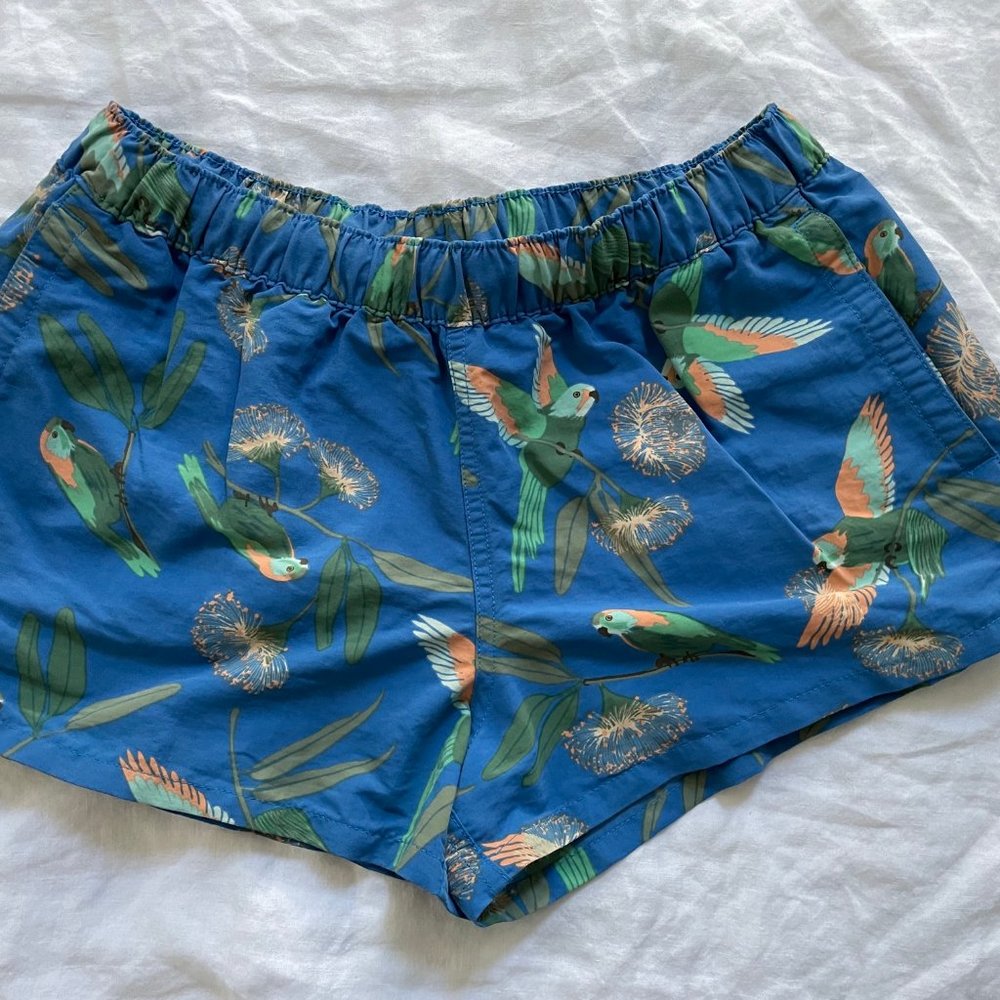 Patagonia Baggies Shorts